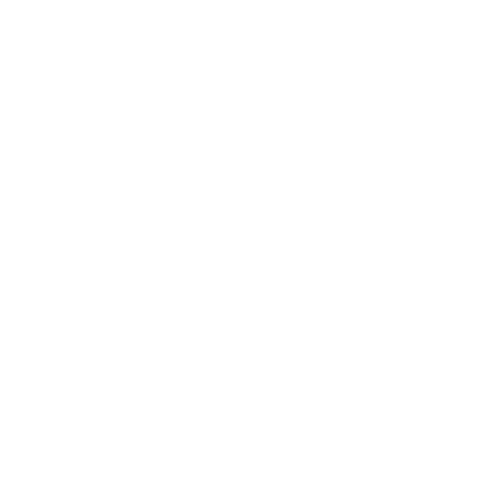 TVDW Car Care Logo